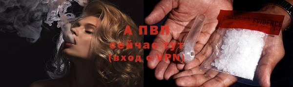 тгк Вяземский