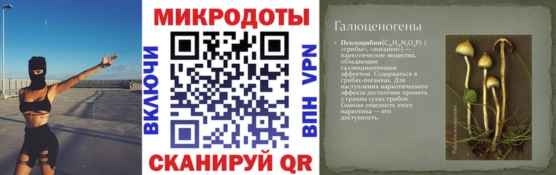 Галлюциногенные грибы мицелий  Духовщина 